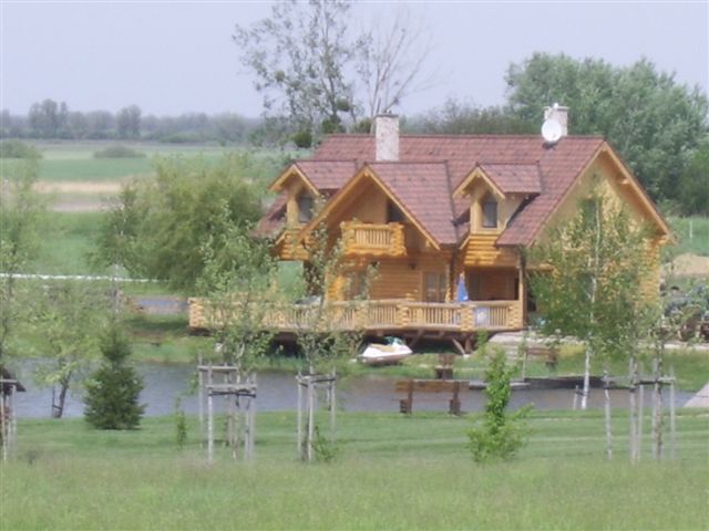 D3