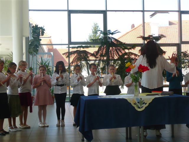 D7